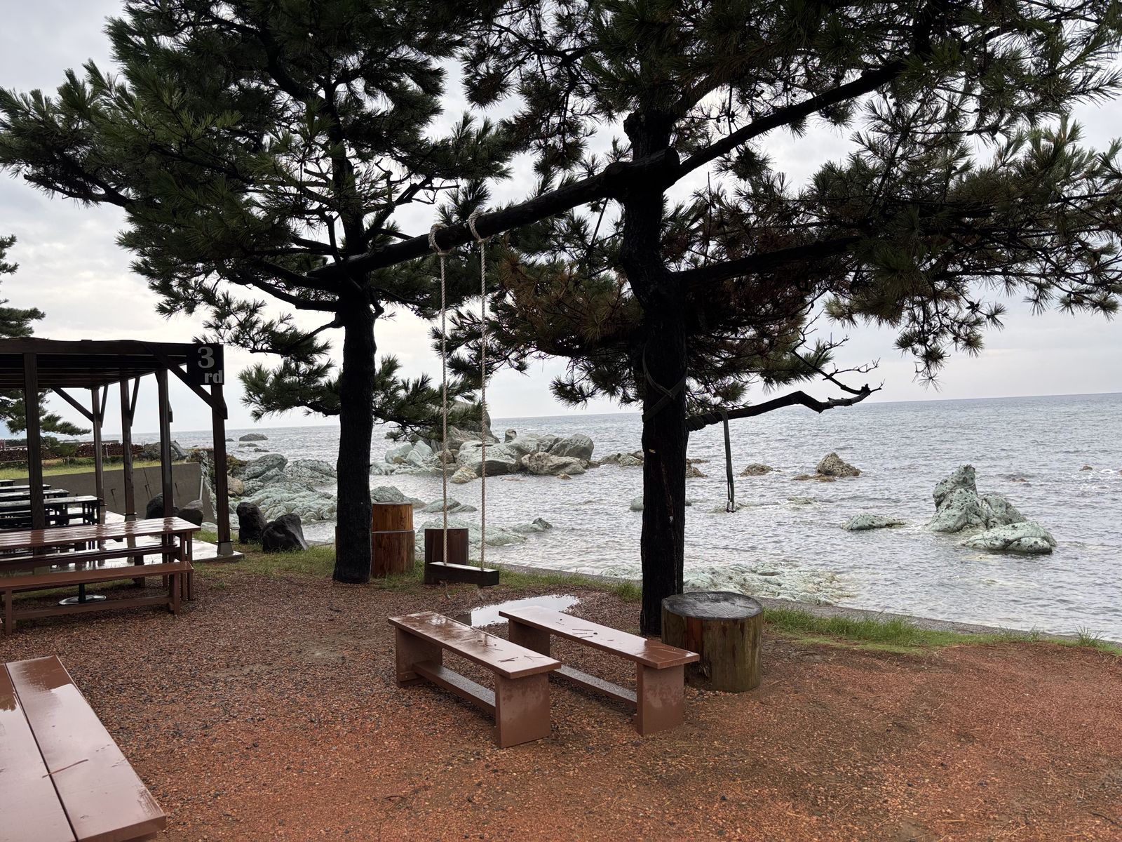 松と海を望むベンチ
