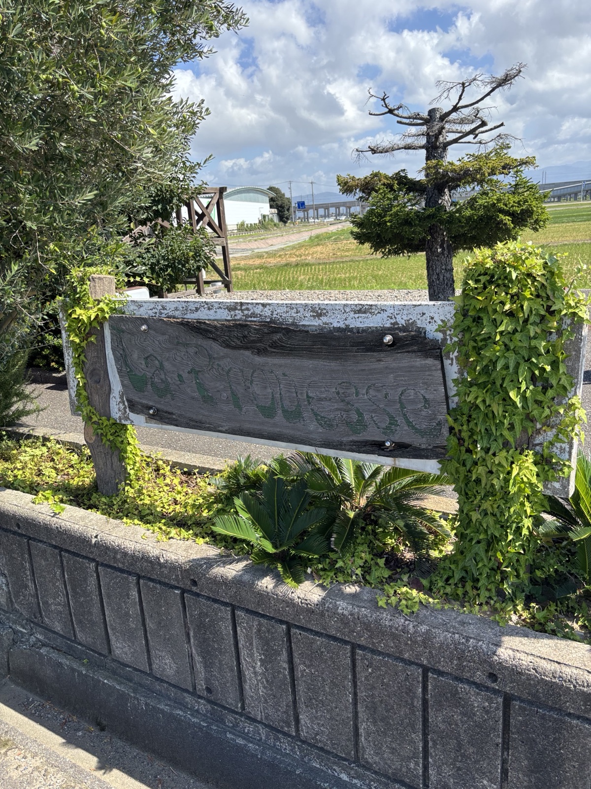 敷地内の石看板と植栽