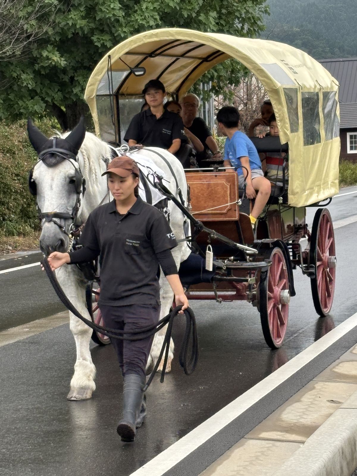 並木を進む馬車