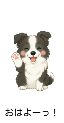 ボーダーコリーの元気な毎日