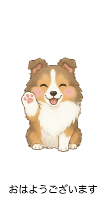 シェルティの優しい一言